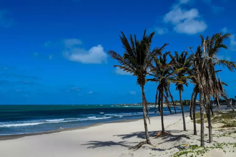 Passeio Fortim: Pontal de Maceió e Canto da Barra - Passeio turístico em Fortaleza e região - Foto 3