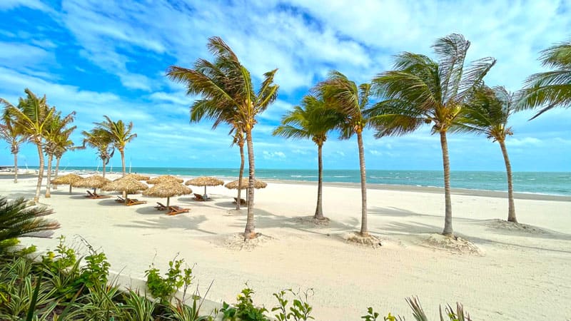 Imagem provisória: Transfer Fortim / Pontal de Maceió - Aeroporto / Hotel - Privativo - Transfer em Fortaleza e região - Foto 2