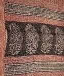 Cotton Kota Doria Bagh Print Saree 010