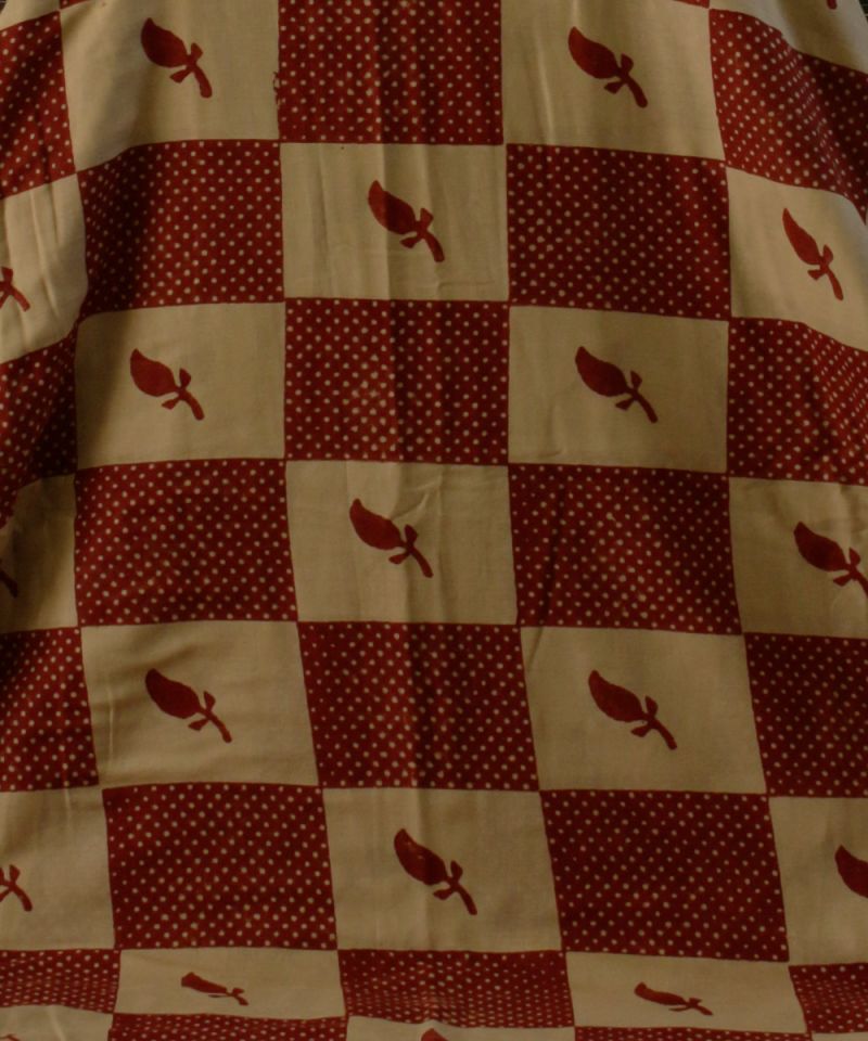 Jawariya Dana cotton saree 008