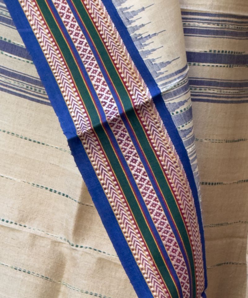 Karvati Kinar Vidarbha Tussar Saree 006