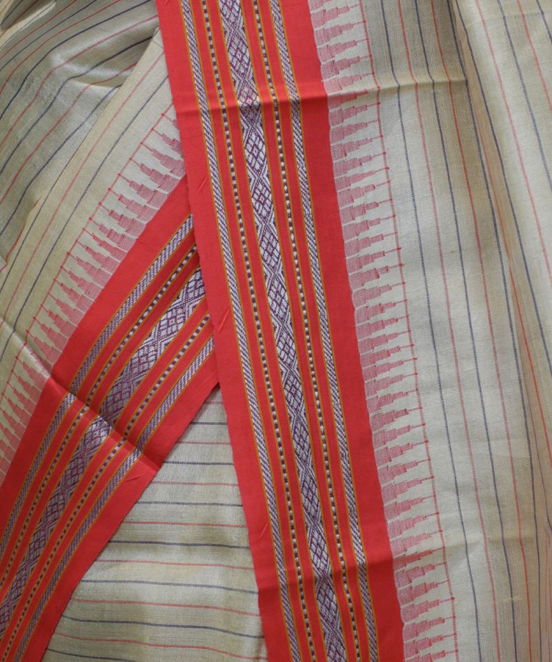 Karvati Kinar Vidarbha Tussar Saree with Jaala Palla 009