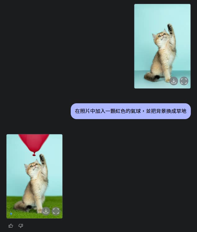 編輯圖片 - 貓咪
