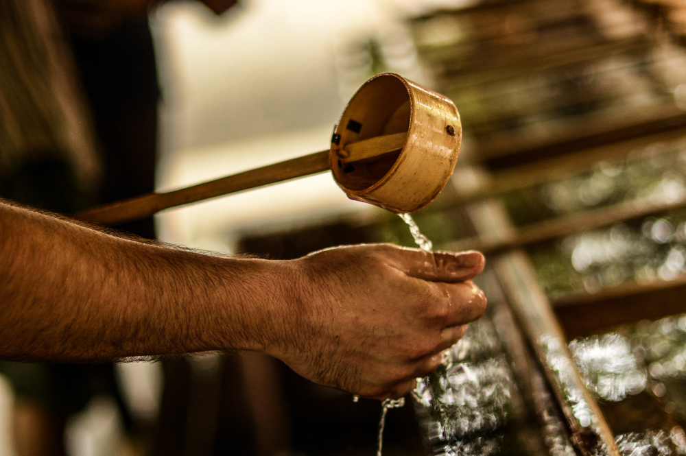 Cold Pressed vs Refined Oil: What Is The Real Difference?