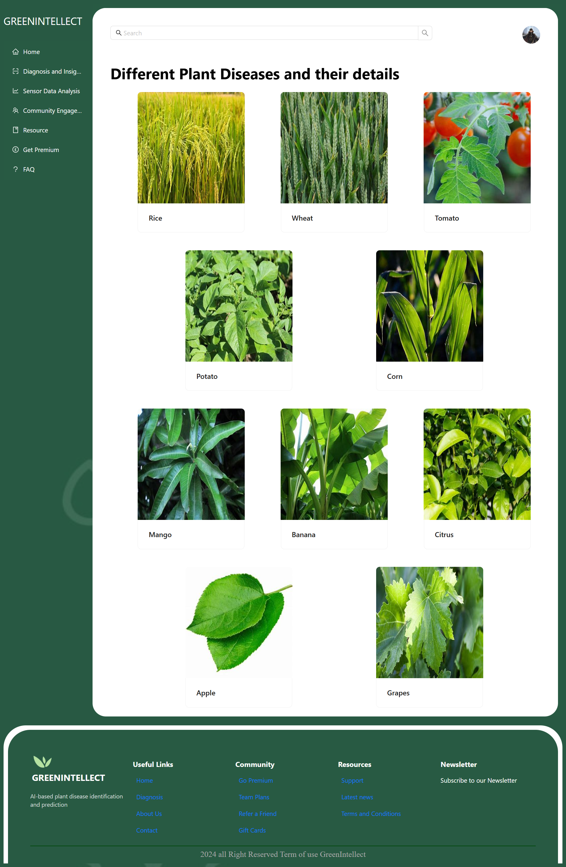 Full-Stack Developer & IoT Engineer Portfolio