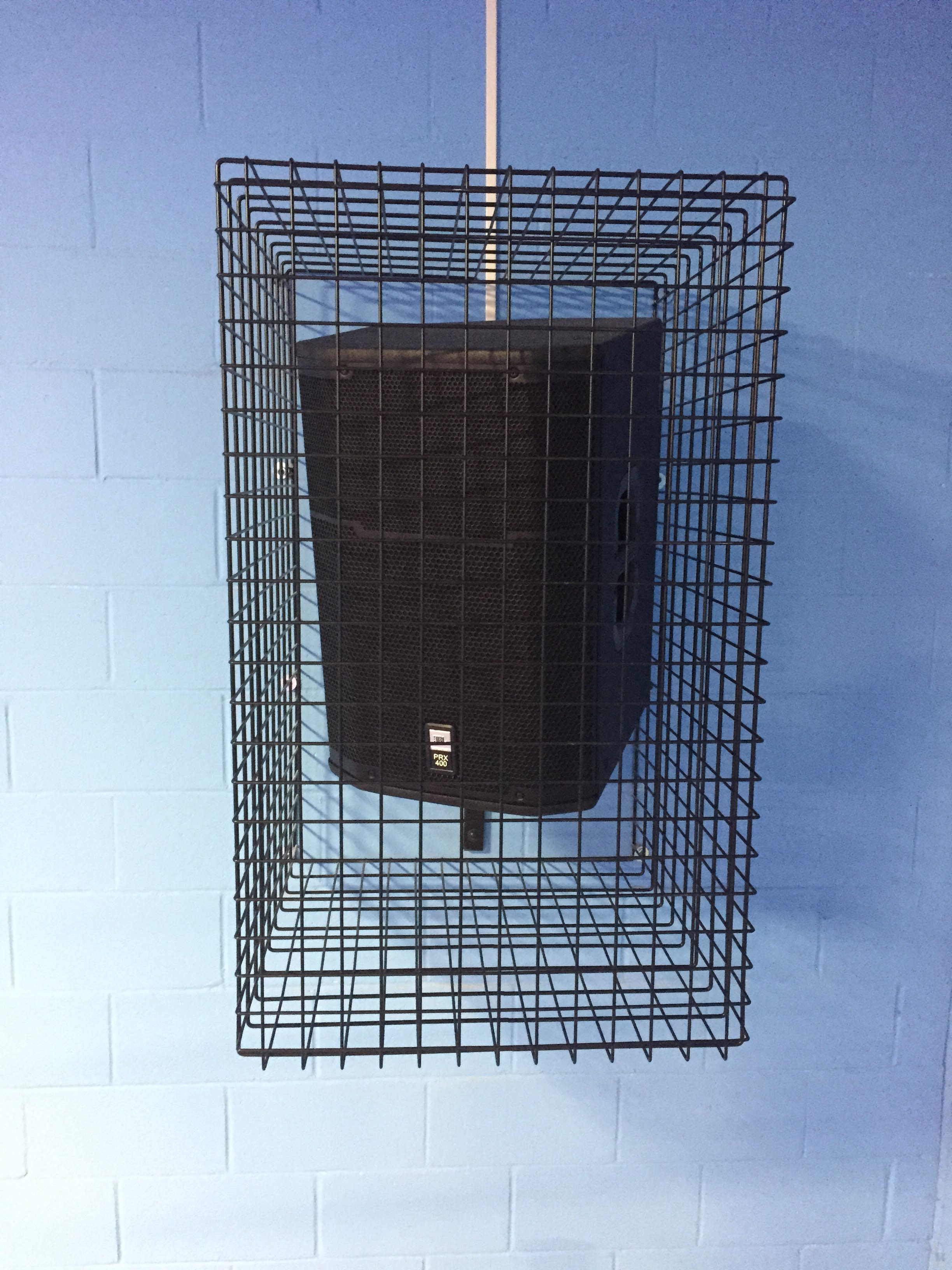 JS WireGuard Speaker Protection Cage for Installed Speakers ( PAIR)