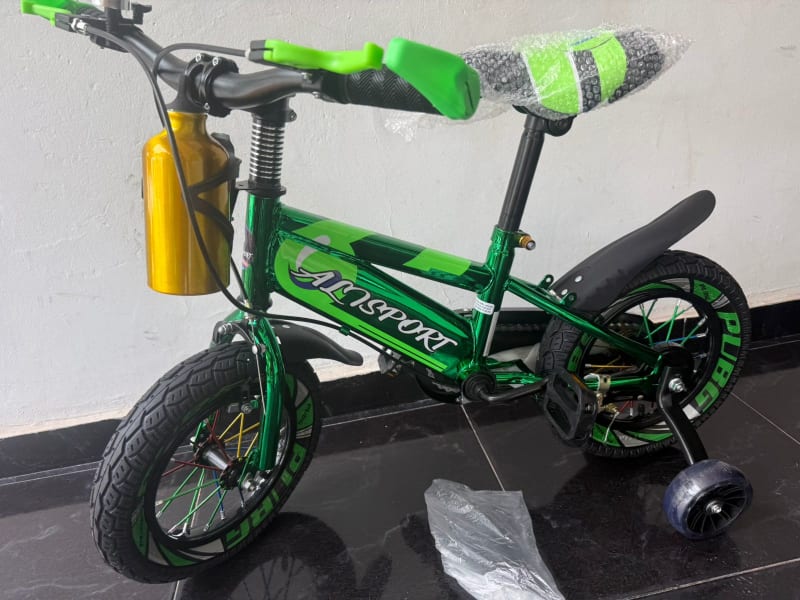Bicicleta Metalizada Rin 12 3