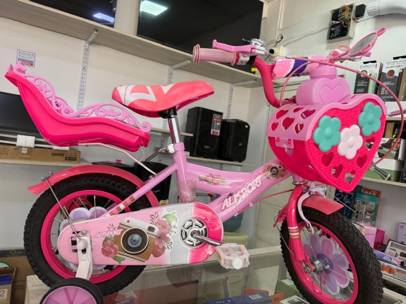 Bicicleta Princesa Nina Rin 12 1