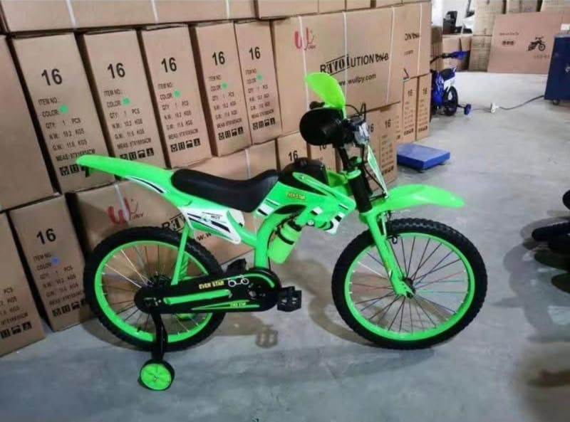 Bicimoto Rin 16 Dt 2