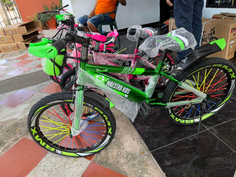 Bicicleta Metalizada ZW Bikes Rin 16 2