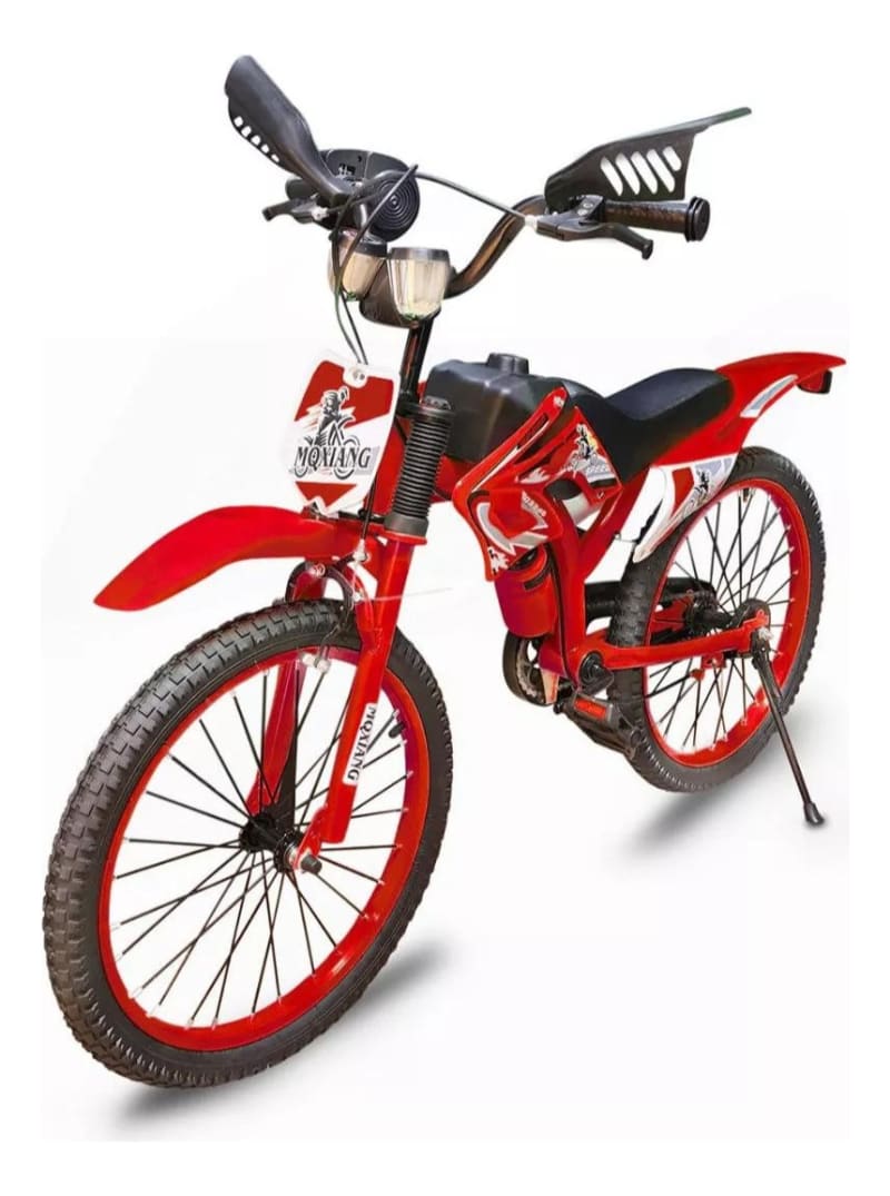 Bicimoto Rin 20 Dt 3