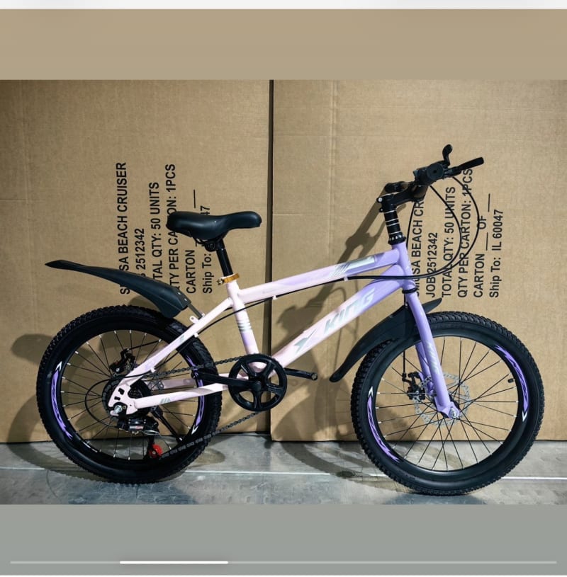 Bicicleta Con Cambio Rin 20 2