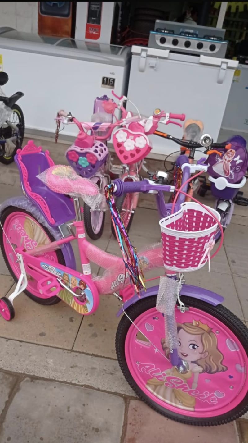 Bicicleta Princesa Rin 20 2