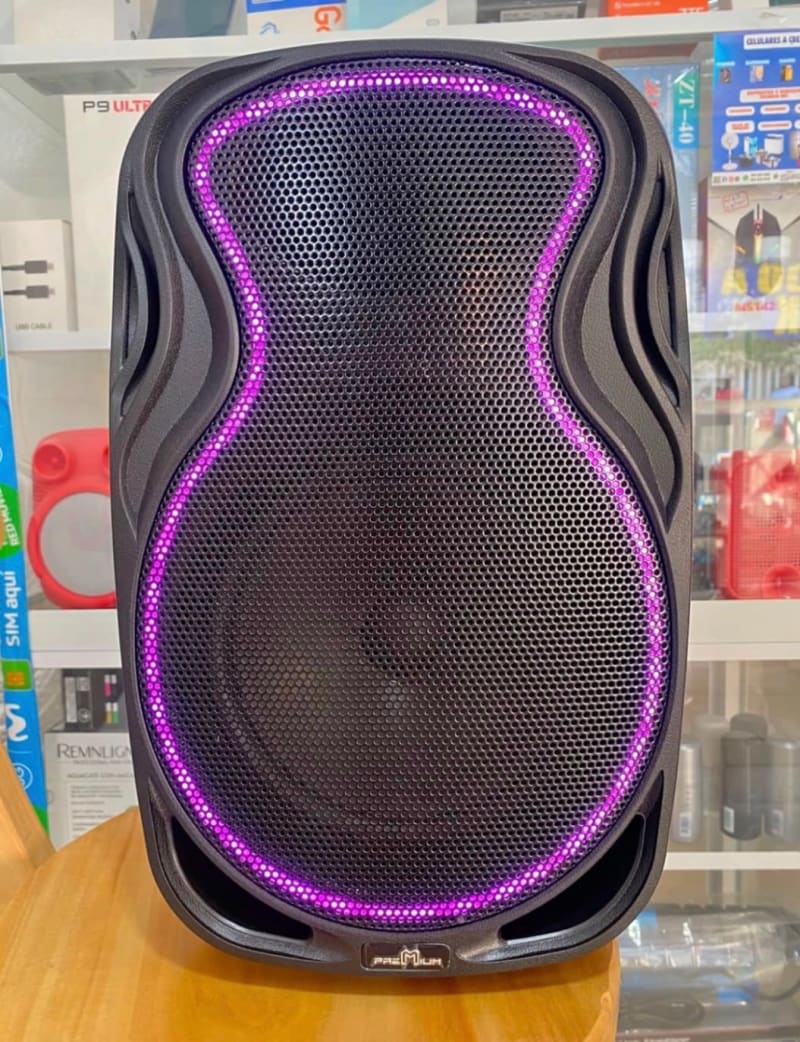 🔊 Parlante Premium 8” 1