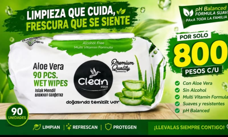 Toallitas húmedas 1