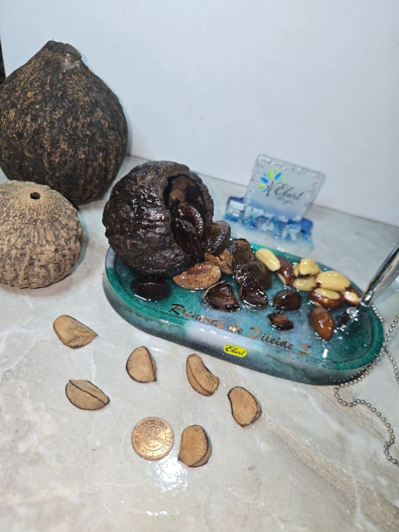 Porta Lapicero con Coco de Almendra 2