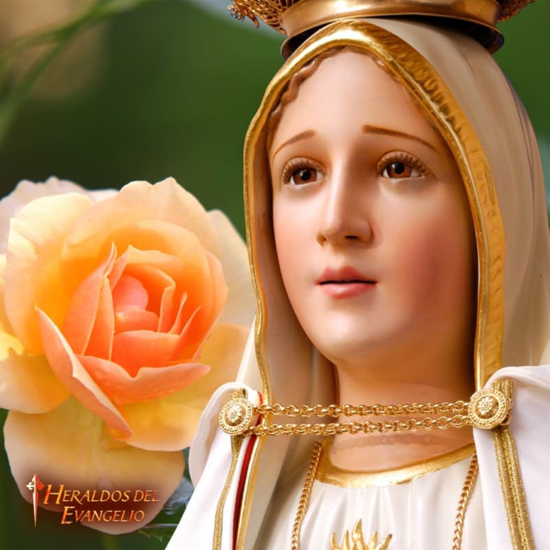 Virgencita 1