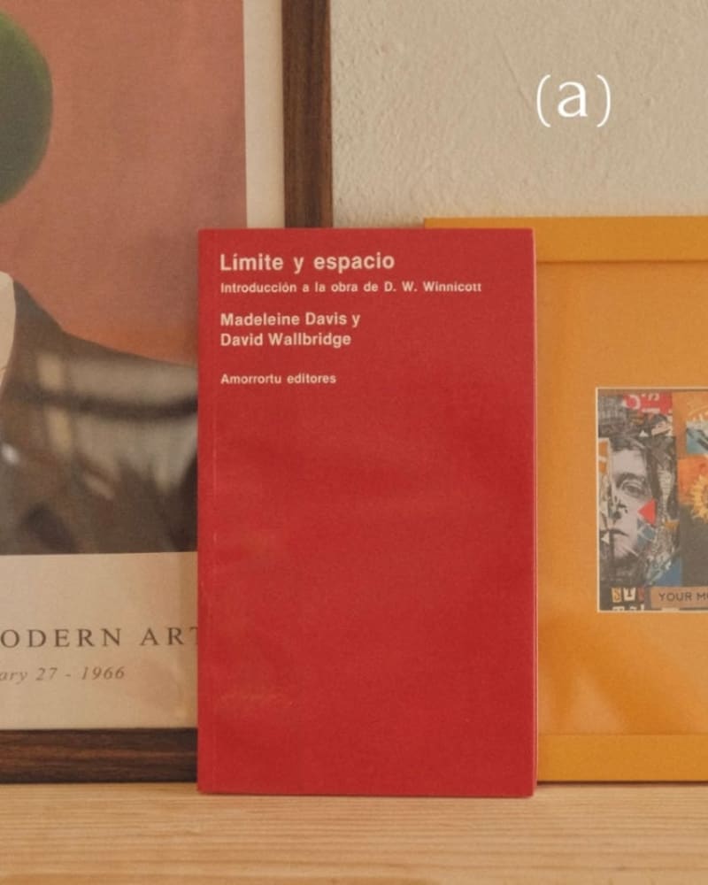Límite y espacio. Introducción a la obra de D. W. Winnicott 1