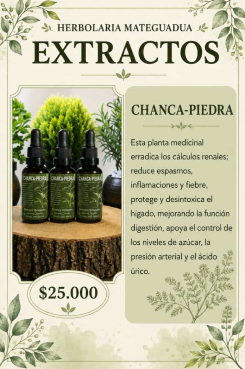Chanca-piedra 1