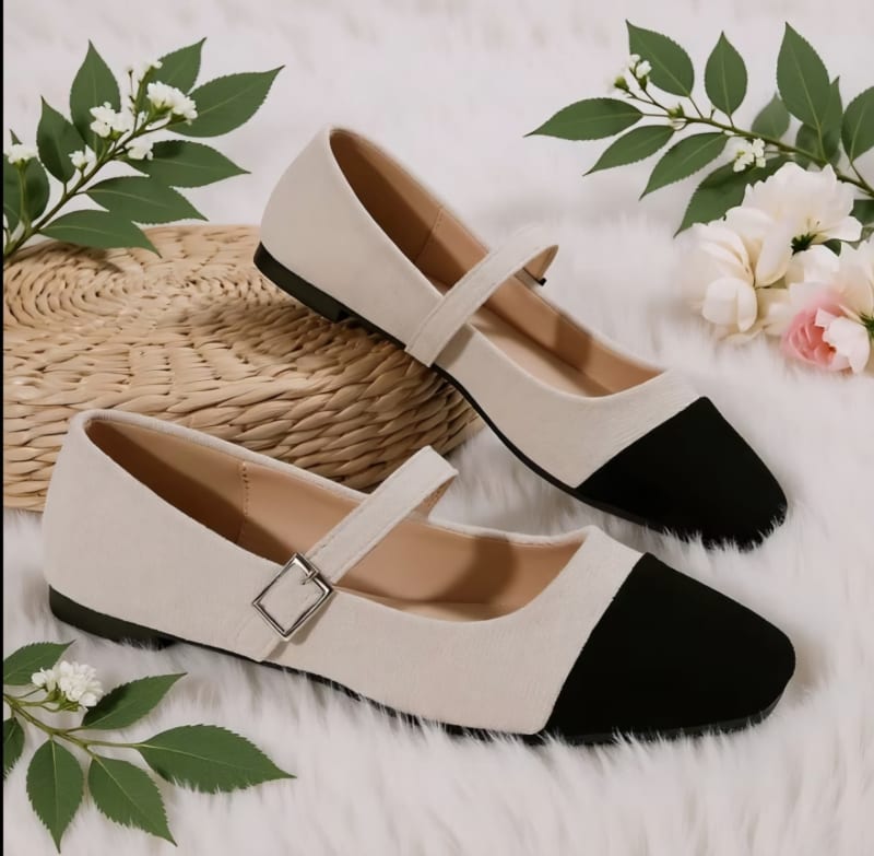 Zapatos de dama 1