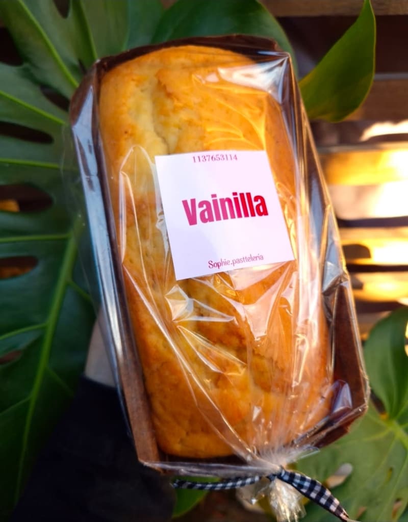 Budin Vainilla 1