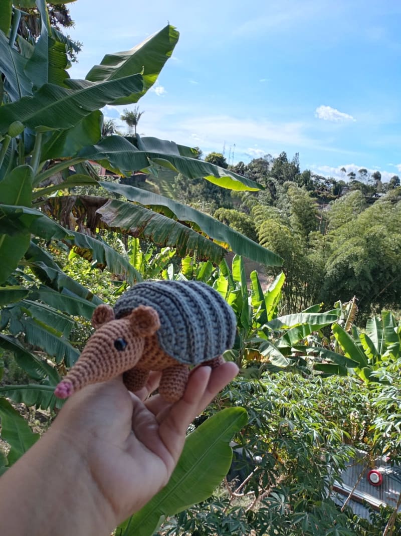 Armadillo 2