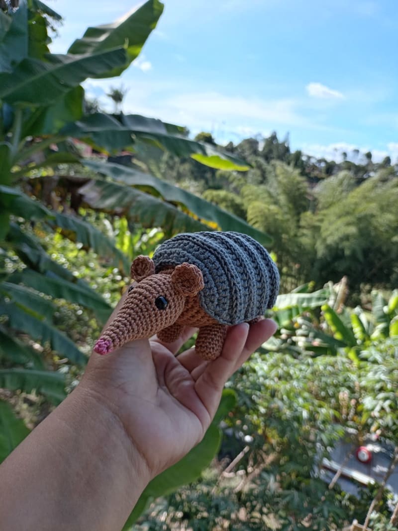 Armadillo 3