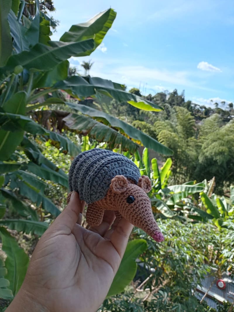 Armadillo 1