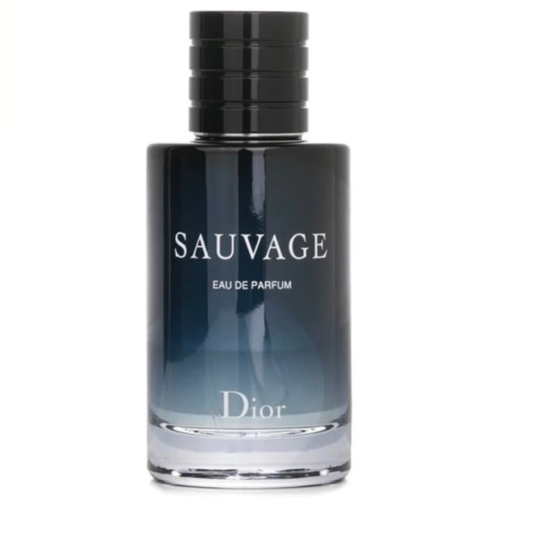 Dior men 1
