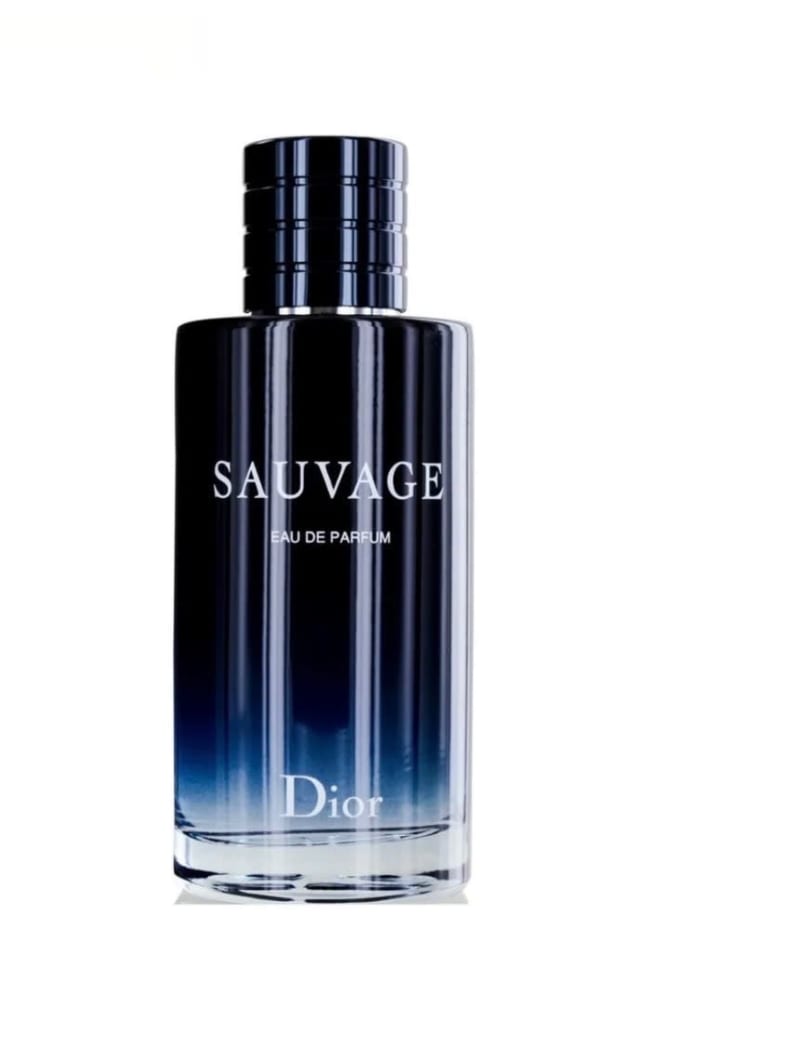 Dior men 1