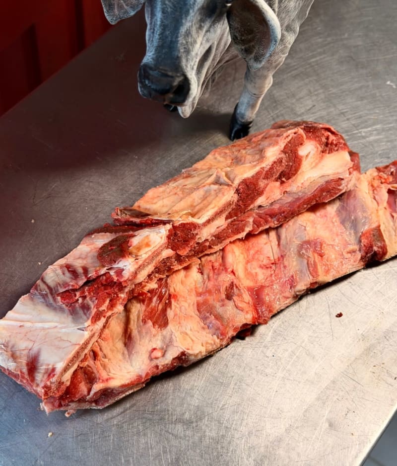 Costilla de res corriente 1