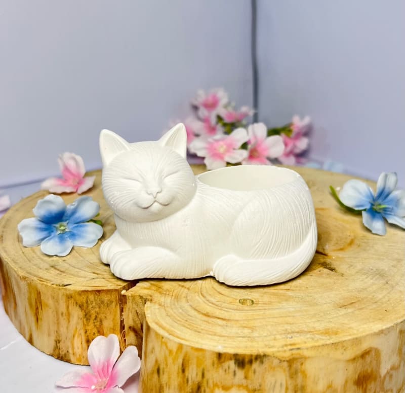 Gato Chino 1
