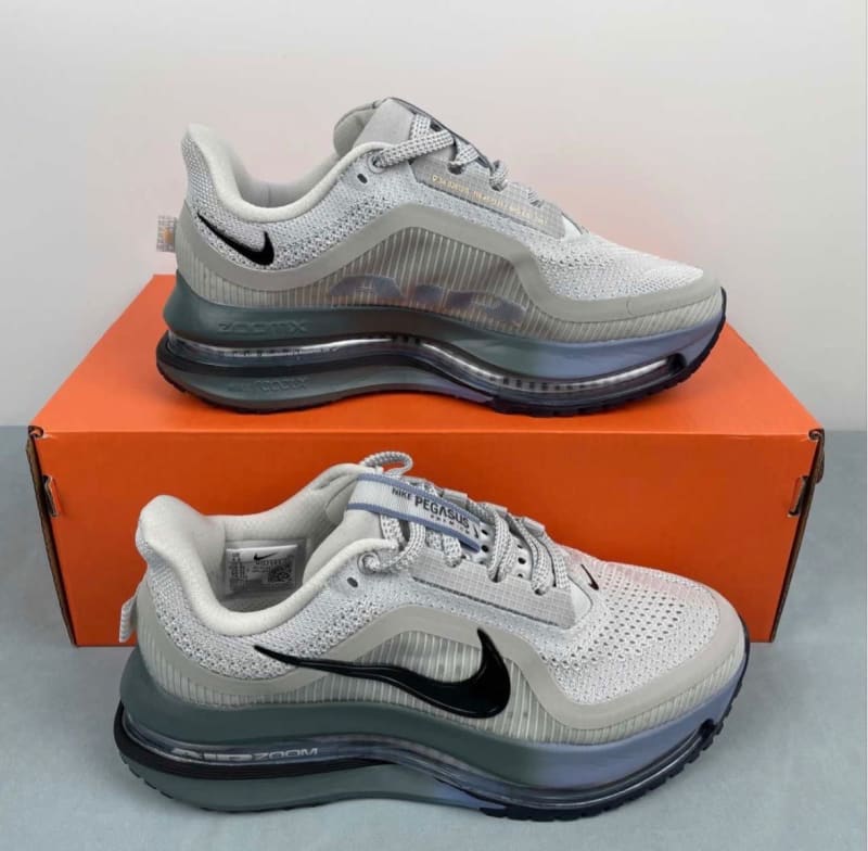 Nike Pegasus Premium 1
