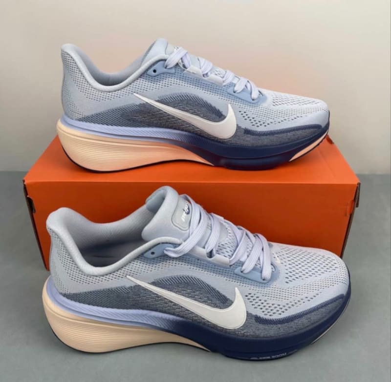 Nike Air Zoom Pegasus 42 2