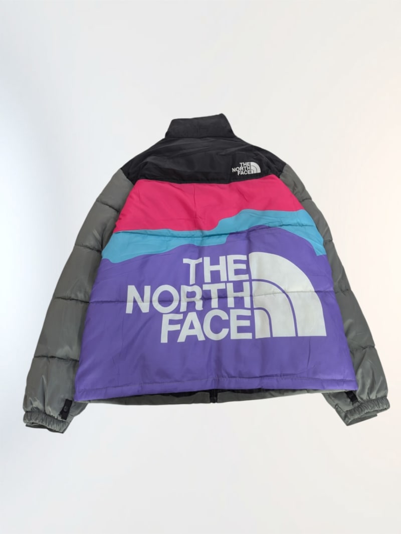 Chaqueta North Face 700 2