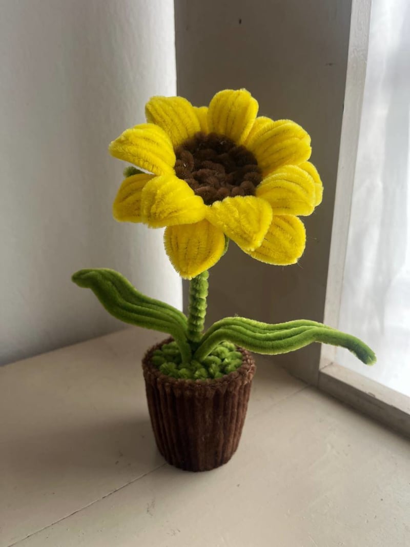 Macetas con flores eternas - 22cm 1