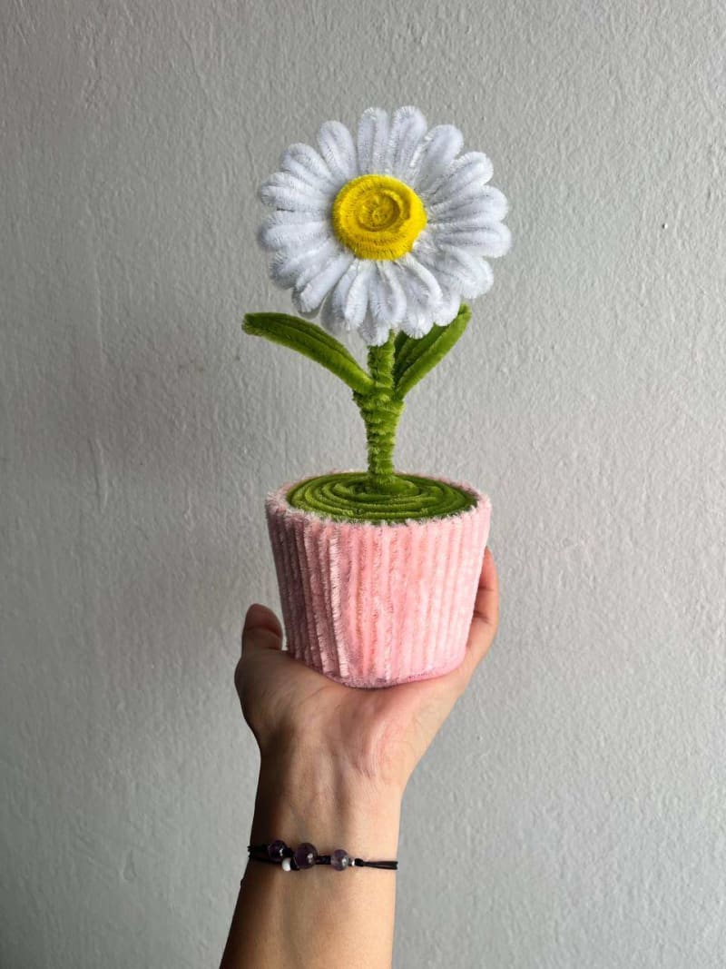 Macetas con flores eternas - 22cm 2