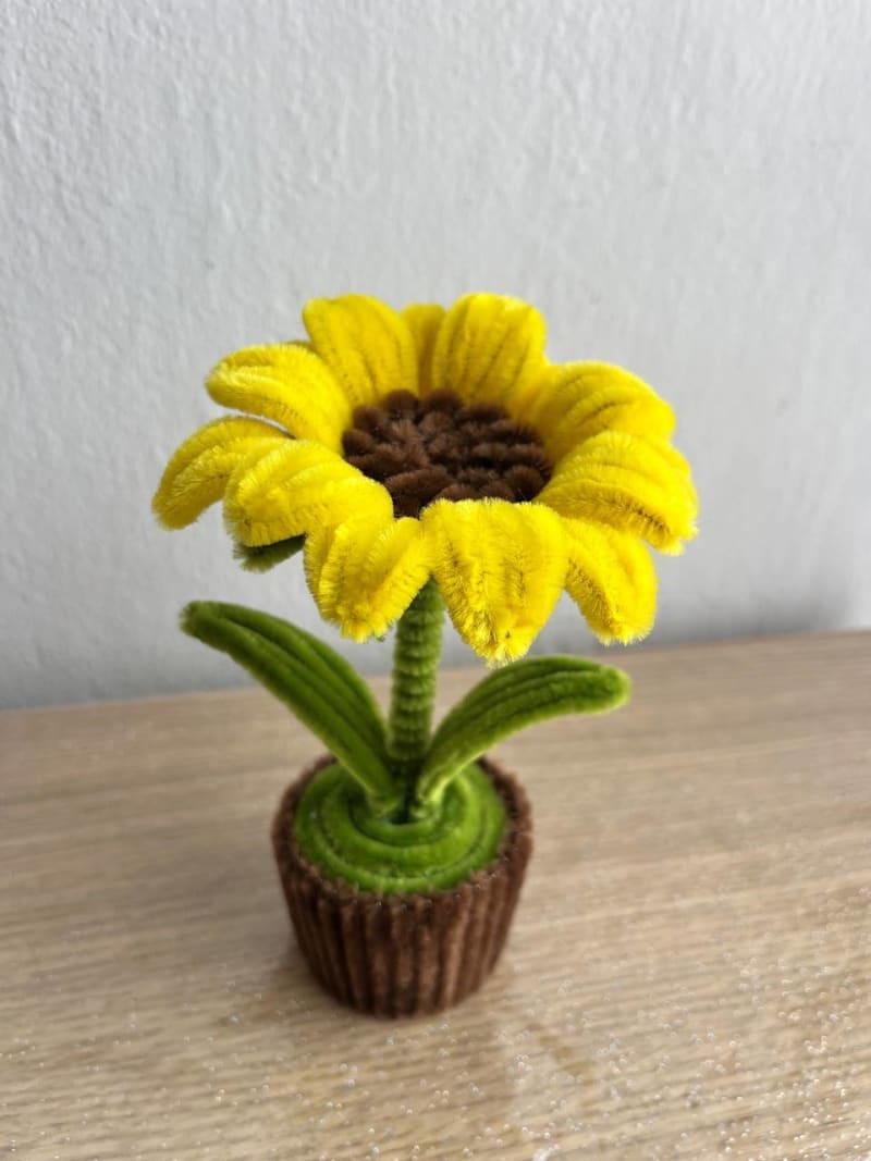 Maceta con flor eterna · 15 cm 4