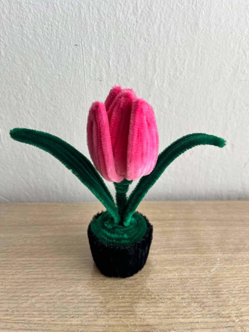 Maceta con flor eterna · 15 cm 5