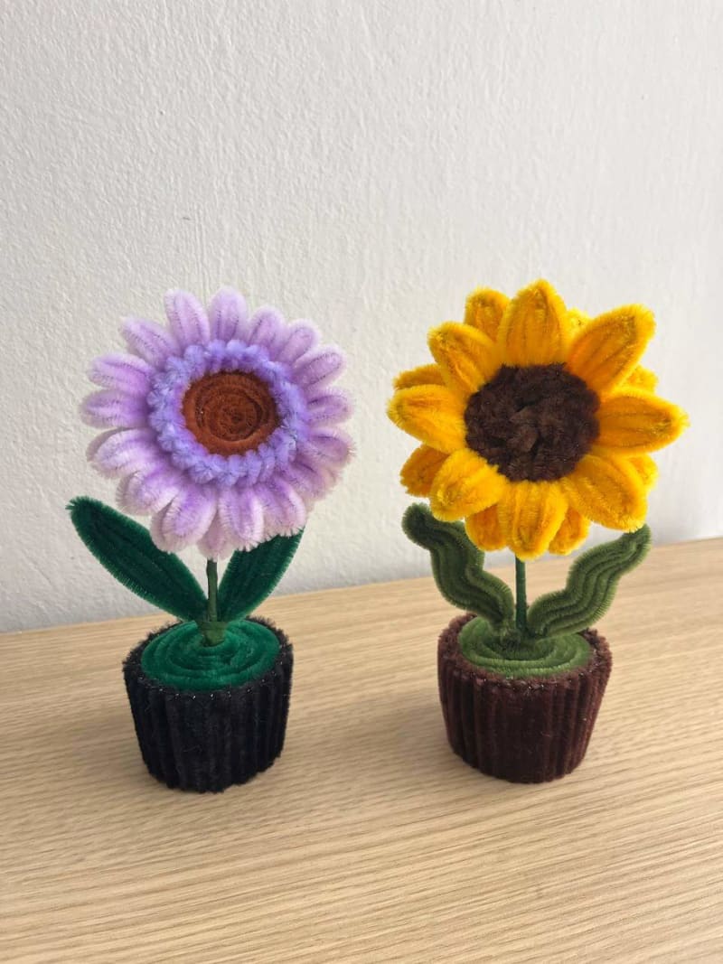 Macetas con flores eternas - 22cm 4
