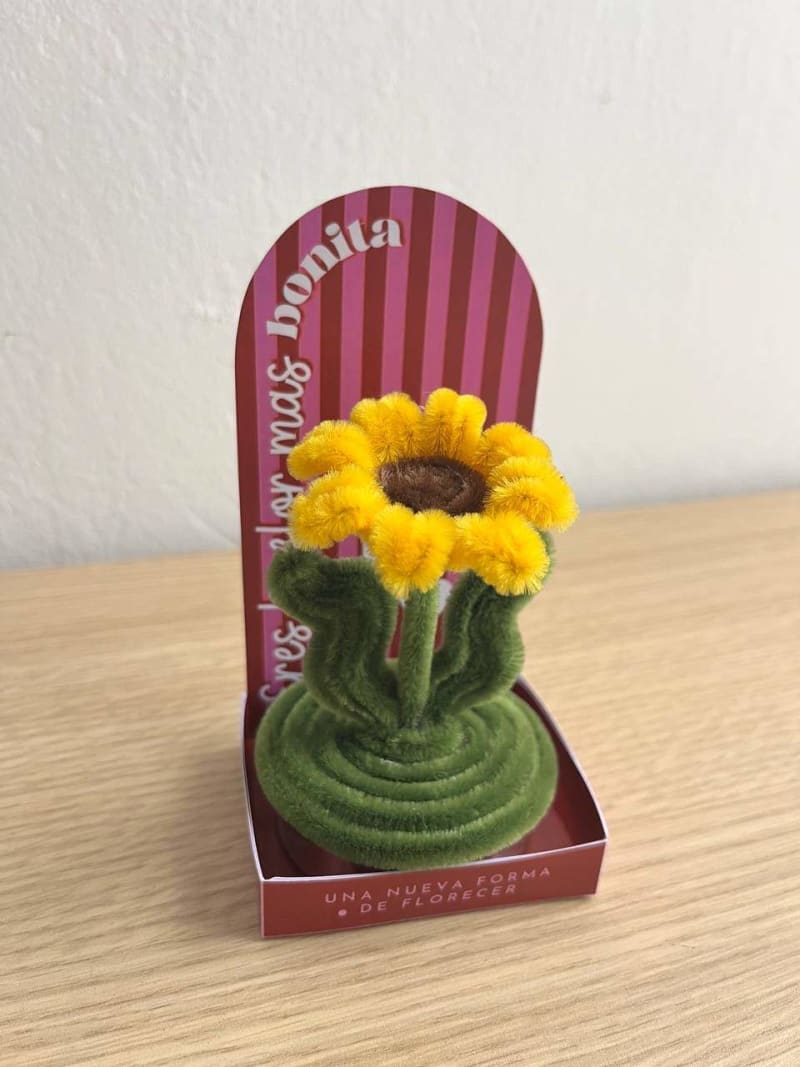Mini macetas 7