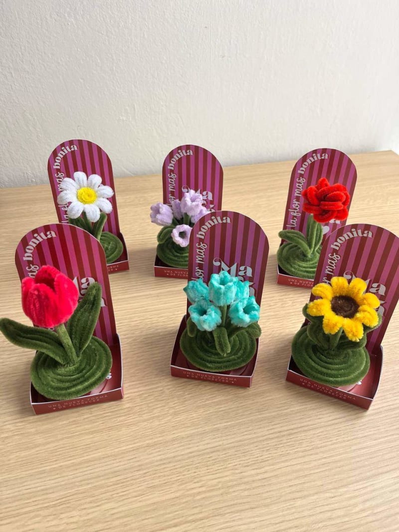 Mini macetas 5