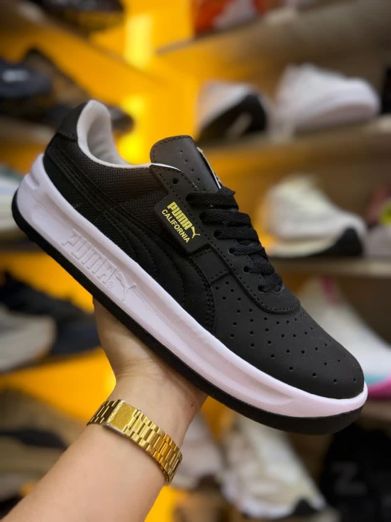 Puma 1