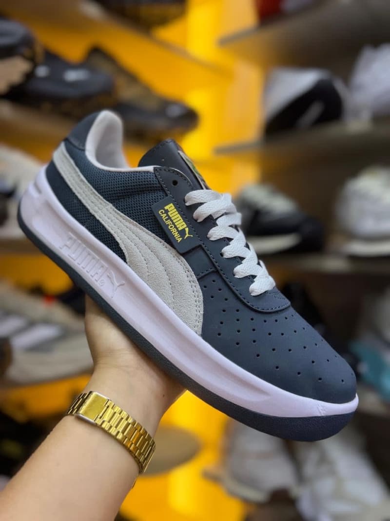 Puma 2