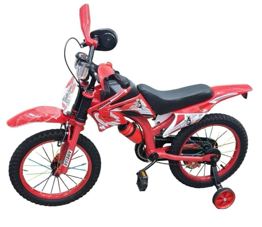 Bicimoto Rin 16 Dt 1