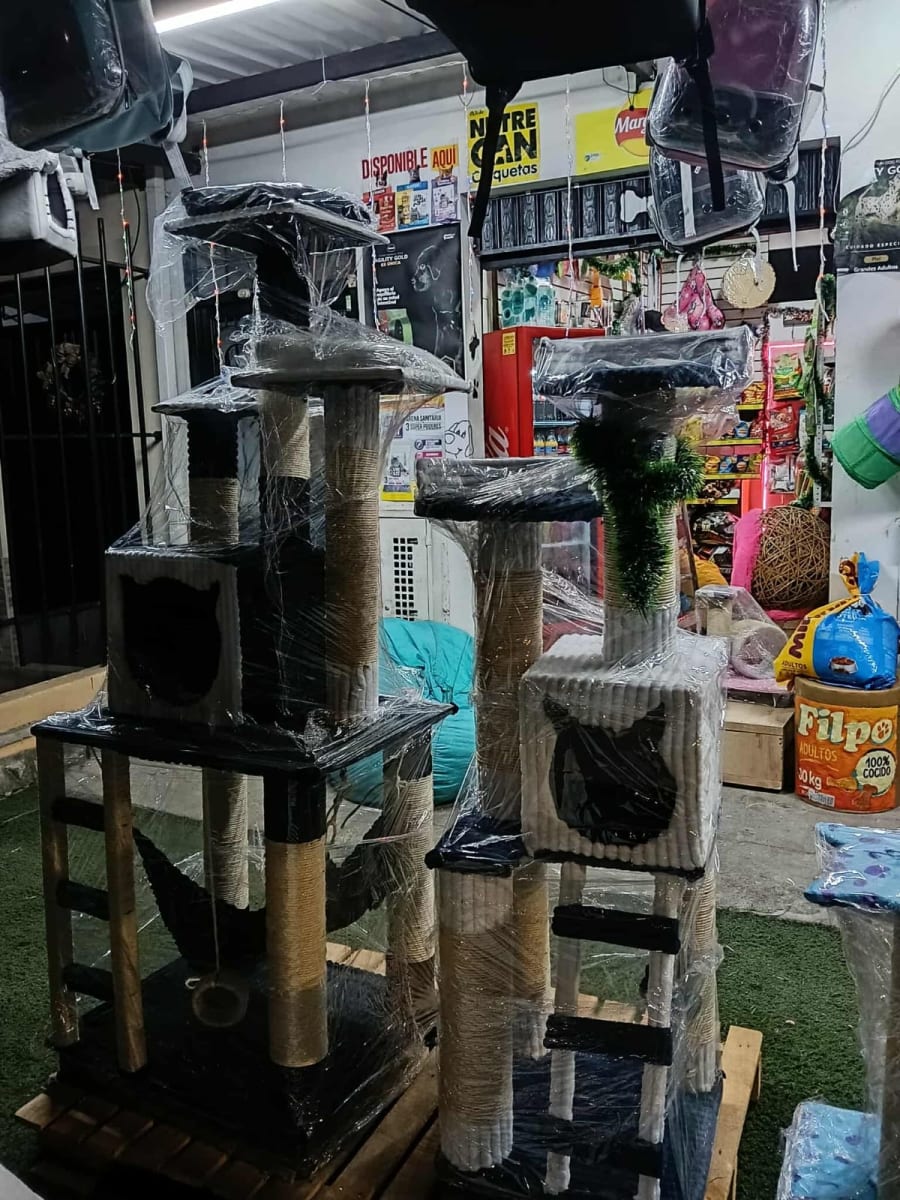 Rascadores y gimnasios 3