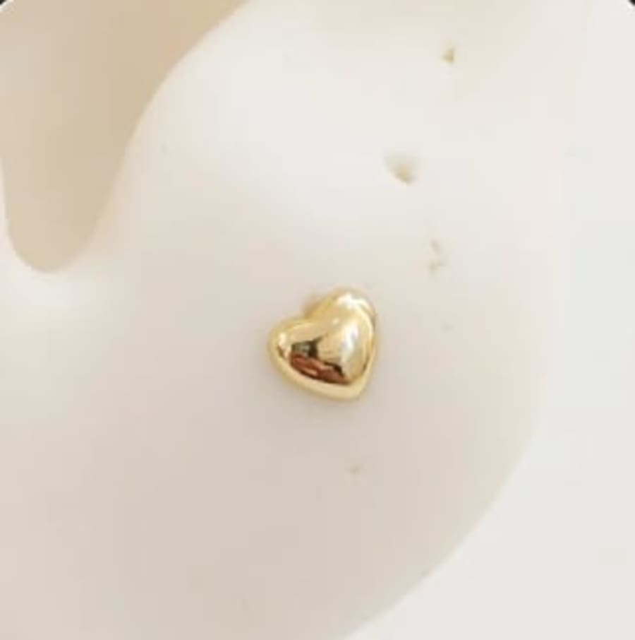 Mini Corazon Bumi 1