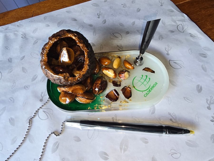 Porta Lapicero con Coco de Almendra 4
