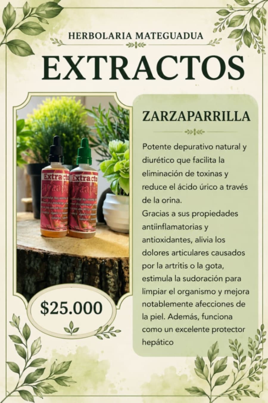 Zarzaparrilla 1