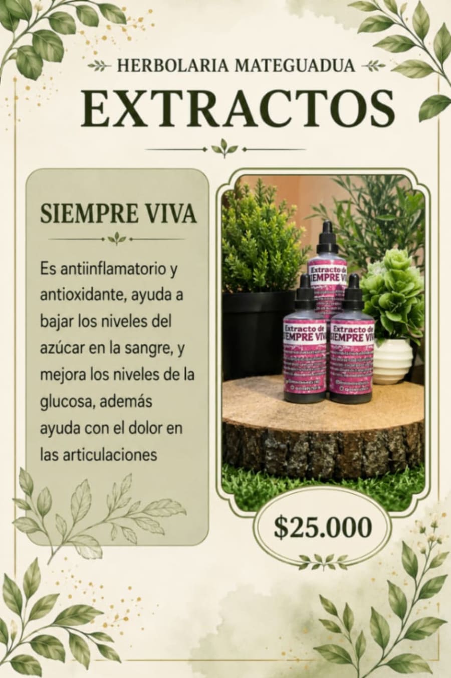 Siempre-viva 1